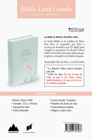 Biblia RVR 1960 Letra Grande Tamaño Manual Símil Piel Menta Fresca
