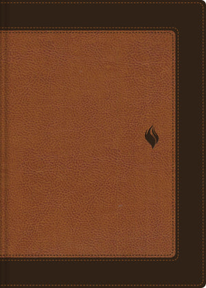 BIBLIA RVR 1960 DE ESTUDIO DE LA VIDA PLENA EDICION CLASICA PIEL DOS TONOS CAFE PALABRAS DE JESUS EN ROJO COMFORT PRINT