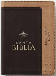 Image of BIBLIA RVR 1960 LETRA GRANDE TAMANO MANUAL BICOLOR CAFE CAFE SIMIL PIEL