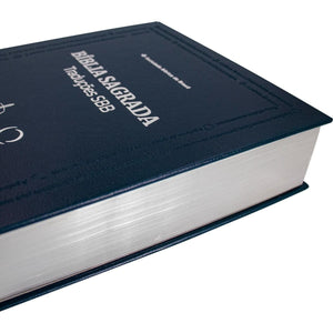 BIBLIA EM PORTUGUES TRADUCCIONES SBB TB ARC RA NAA NTLH