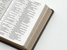 Image of BIBLIA RVR 1960 LETRA GRANDE TAMANO MANUAL NEOCLASSIC CAFE OSCURO SIMIL PIEL