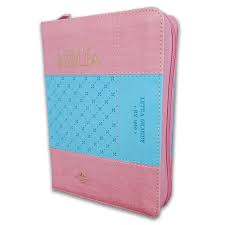 Biblia RVR 1960 Compacta Duotono Rosa Azul Símil Piel con Índice y Cierre