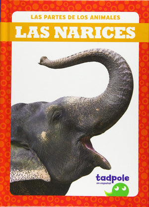 LAS NARICES