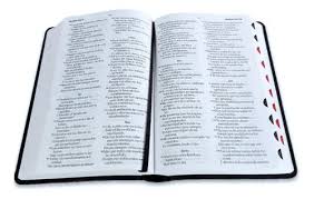 Image of BIBLIA RVR 1960 TAMANO MANUAL LETRA GRANDE COLECCION SUPREME CORDERO Y LEON SIMIL PIEL
