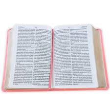 Image of BIBLIA RVR 1960 LETRA GRANDE TAMANO MANUAL NEOCLASSIC ROSA SIMIL PIEL