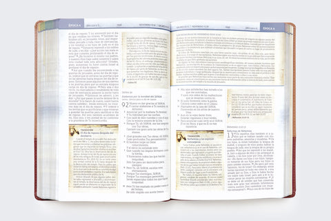 Image of BIBLIA NBLA CRONOLOGICA DE ESTUDIO