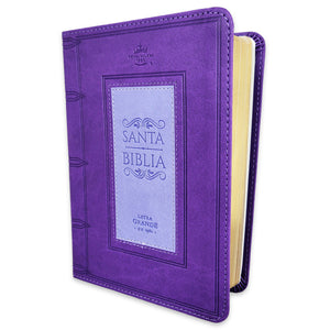 Biblia RVR 1960 Compacta Verde Café Símil Piel