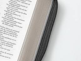 Image of BIBLIA RVR 1960 LETRA GIGANTE TAMANO MANUAL ESFORZAOS SIMIL PIEL