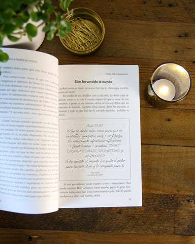 Image of Un Camino a Través del Dolor