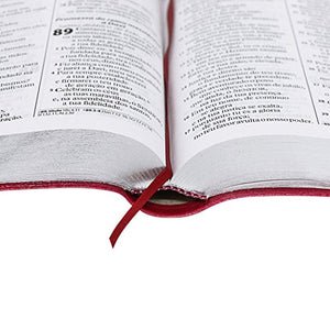 BIBLIA EM PORTUGUES RA065TILG TAPA IMITACION CUERO ROSA OSCURO INDICE DIGITAL ENCAJES