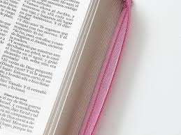 Image of BIBLIA RVR 1960 LETRA GIGANTE TAMANO MANUAL NO TEMAS SIMIL PIEL