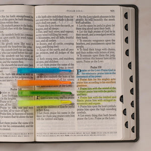 PACK DE 4 MARCADEROS RETRACTILES DE BIBLIA