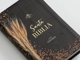 Image of BIBLIA RVR 1960 TAMANO MANUAL LETRA GRANDE COLECCION SUPREME NEGRO TRIGO SIMIL PIEL