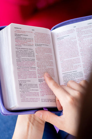 Image of BIBLIA NBLA EDICION VERSIFICADA TAMANO BOLSILLO PIEL MORADO CIERRE PALABRAS DE JESUS EN ROJO COMFORT PRINT