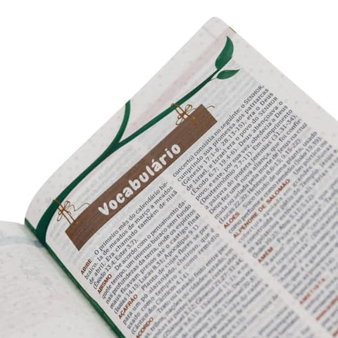 Image of BIBLIA EM PORTUGUES NTHL EXPLICADA PARA CRIANÃ‡AS COM ILUSTRAÃ‡Ã•ES SMILINGUIDO CAPA DURA AZUL