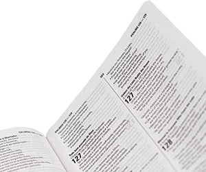 BIBLIA BILINGUE PORTUGUES ESV NAA INGLES