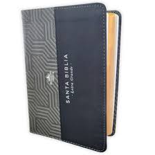 Image of BIBLIA RVR 1960 LETRA GRANDE TAMANO MANUAL BICOLOR NEGRO GRIS SIMIL PIEL