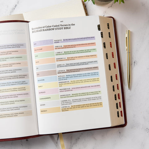 Image of KJV RAINBOW STUDY BIBLE, BURGUNDY LT, IDX