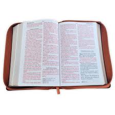 Image of BIBLIA RVR 1960 LETRA GIGANTE TAMANO MANUAL LEON DE JUDA SIMIL PIEL