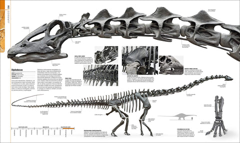 Image of Dinosaurios y Vida Prehistórica