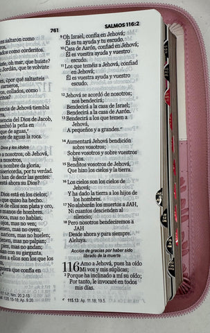 Image of BIBLIA RVR 1960 QUINCENERA ROSA BLANCO