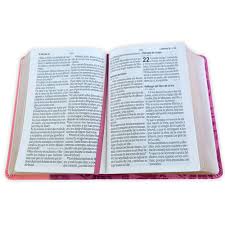 Image of BIBLIA RVR 1960 LETRA GRANDE TAMANO MANUAL BICOLOR ROSA ROSA SIMIL PIEL