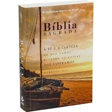 BIBLIA EM PORTUGUES NTLH CAPA BROCHURA IMPRESSA