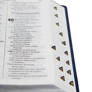 BIBLIA EM PORTUGUES RA065TILG TAPA IMITACION CUERO AZUL INDICE DIGITAL