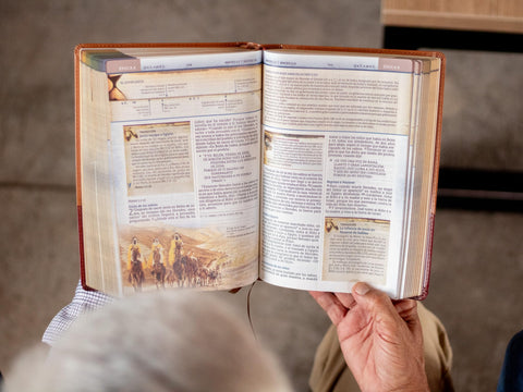 Image of BIBLIA NBLA CRONOLOGICA DE ESTUDIO