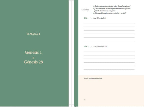Image of 52 SEMANAS EN LA PALABRA