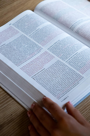 BIBLIA BILINGUE NVI NIV TAPA RUSTICA