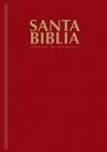 Biblia RVR 1960 Promesas Rústica Vino