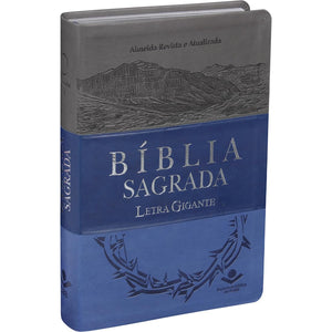 BIBLIA EM PORTUGUES RA065TILG TAPA IMITACION CUERO TRIOTONE AZUL INDICE DIGITAL