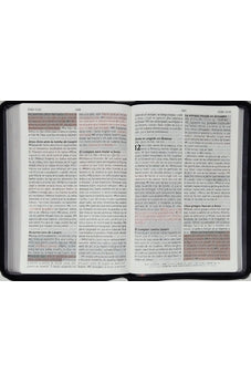 Image of Biblia RVR 1960 de Promesas Letra Gigante Negro Naranja Verde Simil Piel con Cierre