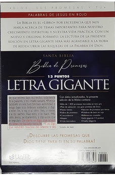 Image of Biblia RVR 1960 de Promesas Letra Gigante Negro Naranja Verde Simil Piel