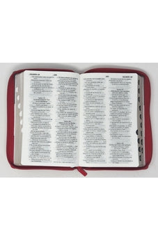 Image of Biblia RVR 1960 Letra Grande Tamaño Manual Tricolor Gris Crema Rojo con Cierre con Índice