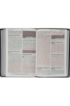 Image of Biblia RVR 1960 de Promesas Letra Gigante Negro Naranja Verde Simil Piel