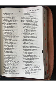 Image of Biblia RVR 1960 Letra Ultra Súper Gigante 19 puntos Piel Marrón Duotone con Cierre y Índice