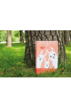 NIrV, Adventure Bible for Early Readers, Leathersoft, Coral, Full Color