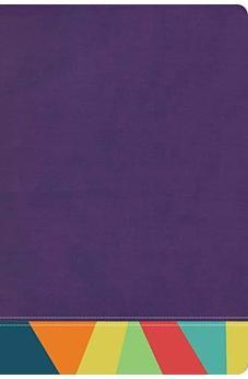 Biblia RVR 1960 de Estudio Arco Iris Símil Piel Morado Multicolor