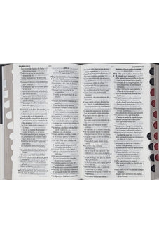 Image of Biblia RVR 1960 Letra Grande Tamaño Manual Tapa Flex Espada con Índice