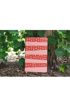 NIV, Adventure Bible, Leathersoft, Coral, Full Color