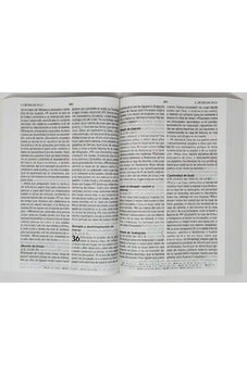 Image of Biblia RVR 1960 de Promesas Letra Gigante Marrón Líneas Rústica